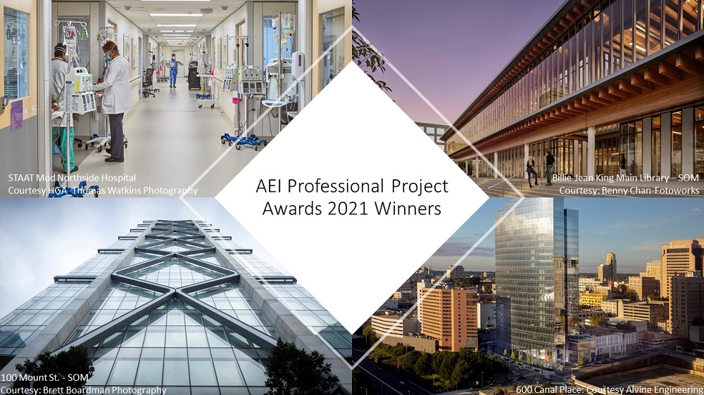 Winners of the 2021 AEI Professional Project Awards