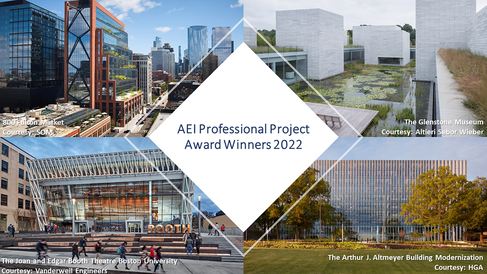 Winners of the 2022 AEI Professional Project Awards